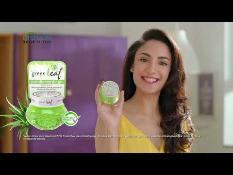 Say Hello To Aloe At Brihans