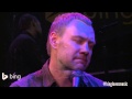 David Gray - Birds Of The High Arctic (Bing Lounge)