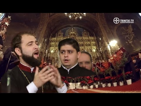 Archd. Mihail Buca & TRoNoS - Florile dalbe