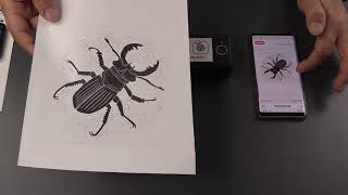 Portabler Thermodrucker Phomemo M08F, Android, IOS, Windows, Chrome, Mac OS, mini Drucker A4