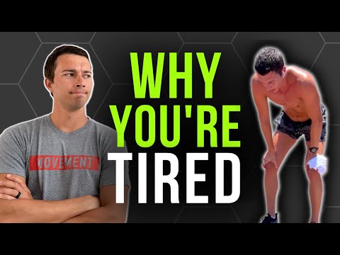 Gym Fatigue Explained & How to Fix It