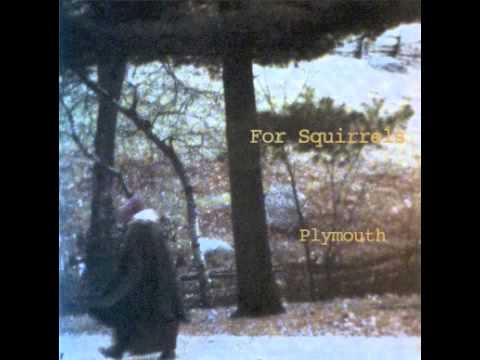 For Squirrels | Go On Up