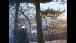 For Squirrels | Go On Up