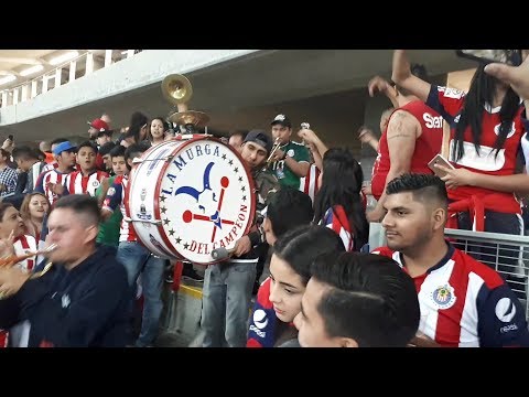 "Chivas vs América CL 2018 - Entrada de la Murga" Barra: Legión 1908 • Club: Chivas Guadalajara