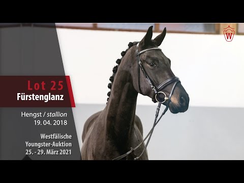 Westf. Youngster-Auktion 25.- 29. März 2021 Lot 25 Fürstenglanz Hengst v. Fürstenball - Sandro Hit
