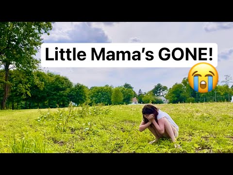 Dad cut the silks, Little Mama LEFT!!😨