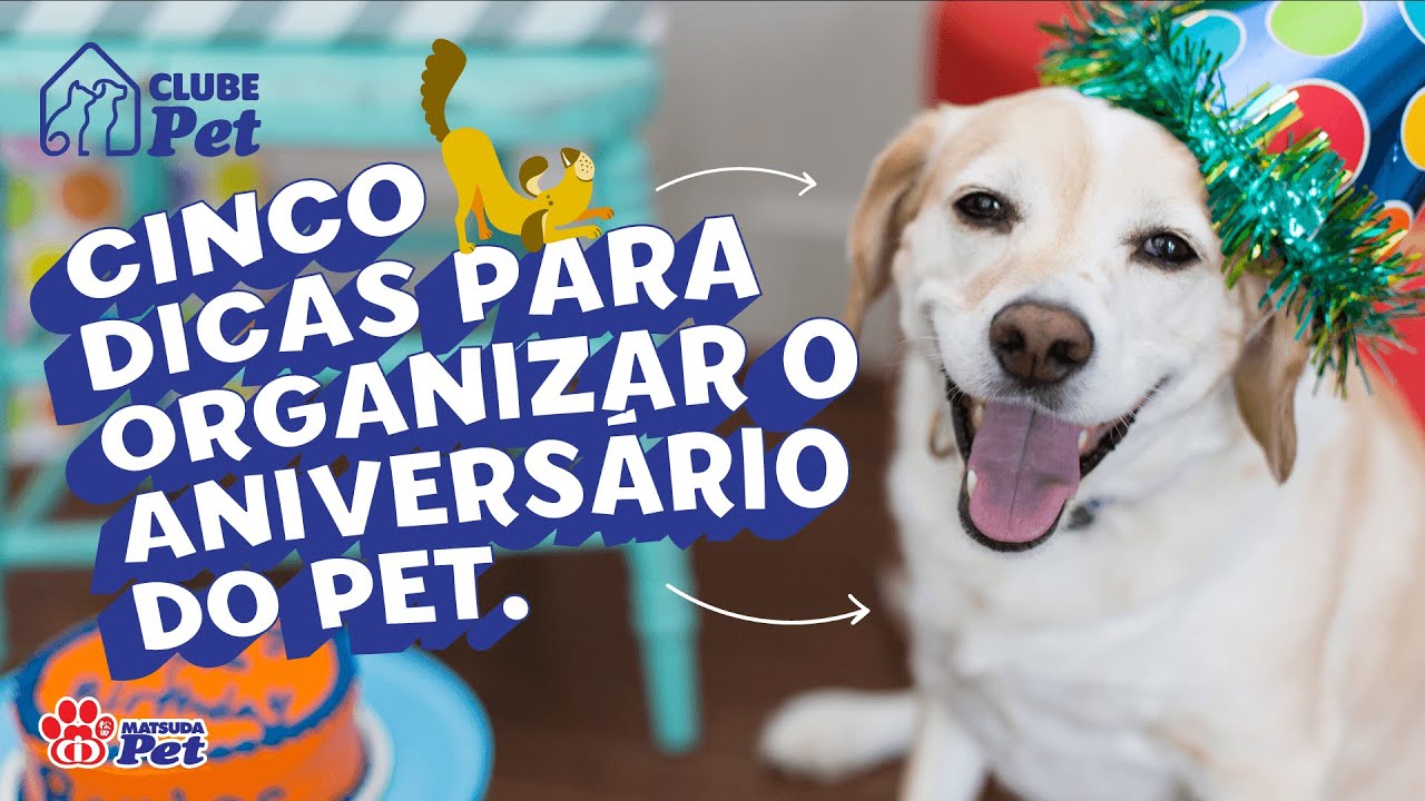 FESTA DE ANIVERSÁRIO para Pet: 5 DICAS de como ORGANIZAR! | Clube Pet