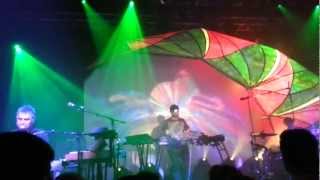 Animal Collective - Applesauce (Live at Stockholm 2012)
