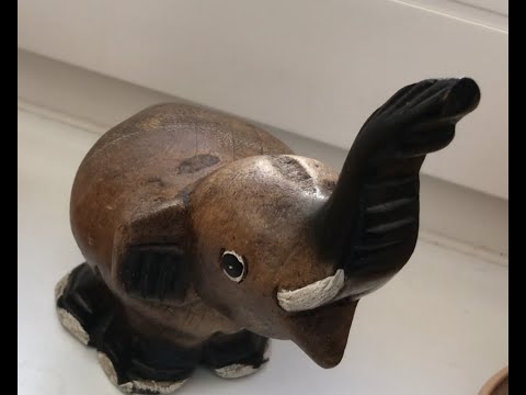 Chvíľa pre pesničku: Jej nový slon