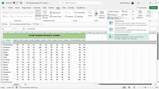 Freeze Rows and Columns - Excel 365 Apps tutorial