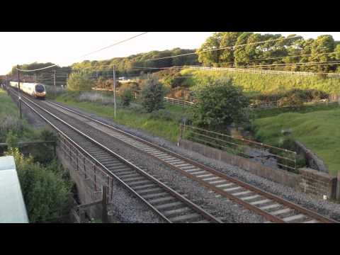 Evening Variety at Woodacre, Scorton - 10th June 2015