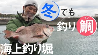 陸から鯛！？寒さ吹き飛ぶ大物釣り！〜グッドロッドで海上釣り堀編～