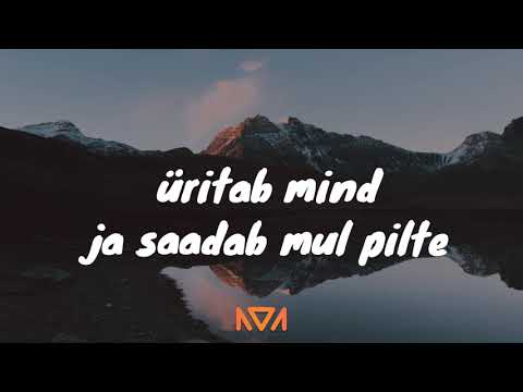 villemdrillem x Elina Born - niiea LYRICS (sõnadevideo)