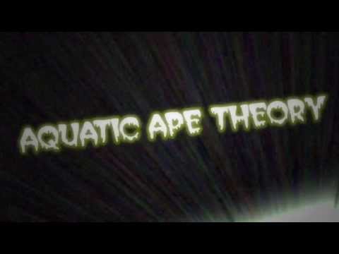 The Drab Doo-Riffs Present.... Aquatic Ape Theory!