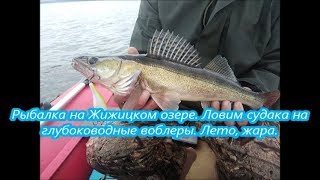 Ссылка
