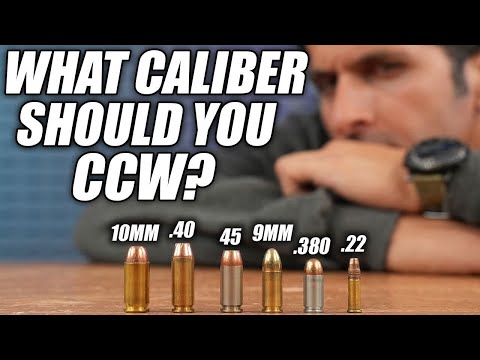 What Caliber Should I Carry? (.22 vs .380 vs 9mm vs .40 vs .45 vs 10mm)