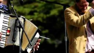 The Mekons - Hardly Strictly Bluegrass 2011