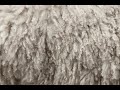 Wool Wikipedia Audio Article
