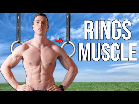 The Best Full Body Rings Workout