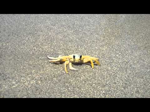 Amazing Beach in Costa Rica.