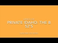 Private Idaho-The B-52's-Lyrics Video