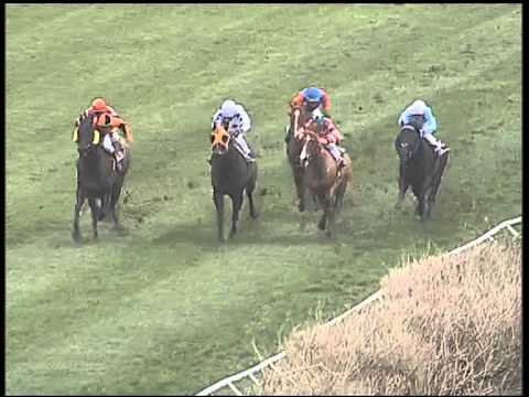 Galoppo 30/01/2015 - 2° corsa