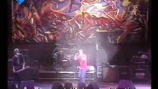 Bad Religion - Recipe For Hate (Live &#39;96)