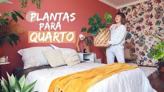 PLANTAS para o QUARTO! 🌿🌸