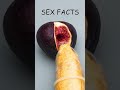 Can A Big Penis Stretch Out A Vagina