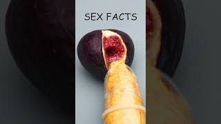 Download lagu Can a Big Penis Stretch Out a Vagina? mp3