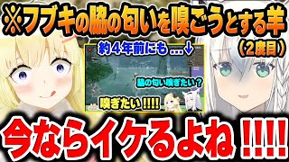 【モンハンワイルズ】今の好感度ならイケる！？約4年振りにフブキの脇の匂いを嗅ごうとした結果ｗｗｗ【角巻わため/ホロライブ/切り抜き/Vtuber】(※ネタバレあり)