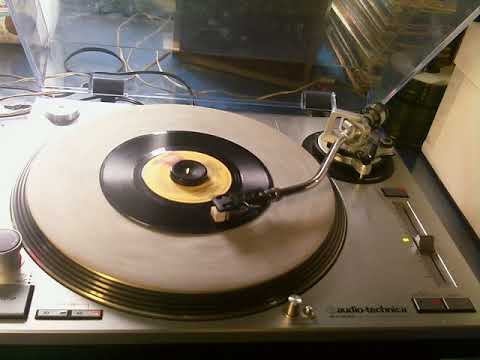 Disco Duck   Rick Dees And His Cast Of Idiots   1976   Styrene