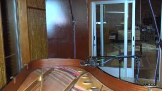 Video thumbnail for Audix Microphones - How to mic a grand piano with the Audix SCX25A large diaphragm microphone by AUDIX