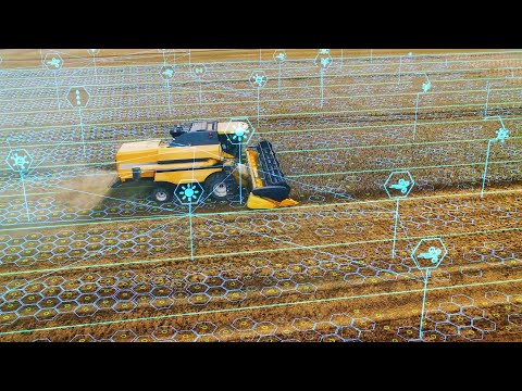 Cifo | Per un'agricoltura sostenibile