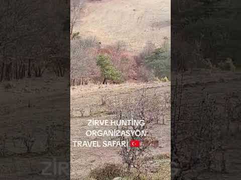 ZİRVE HUNTİNG ORGANİZASYON TRAVEL SAFARİ