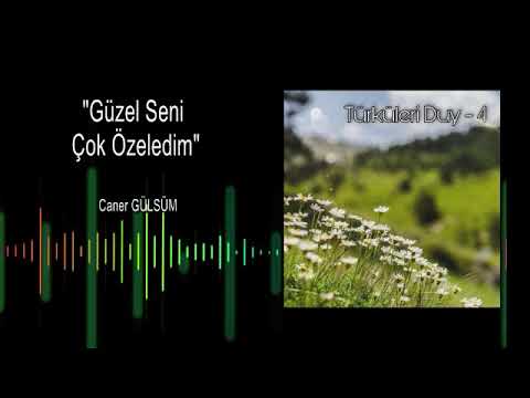 Caner Gülsüm " Güzel Seni Çok Özledim"