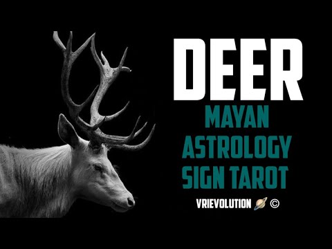 Deer 🦌 | An Athletic Spirit Outgrowing The Marathon Of Life ⛹️| Mayan Astrology Sign Tarot Reading 💥