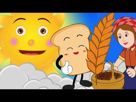 download lagu mp3 mp4 Cançons Populars Catalanes, download lagu Cançons Populars Catalanes gratis, unduh video klip Download Cançons Populars Catalanes Mp3 dan Mp4 Music Gratis