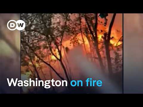 Spokane wildfires: Can firefighters stop the fast-moving blaze? | DW News
