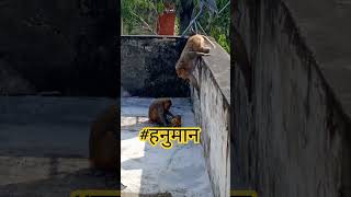 Download lagu #youtubeshorts #ytshorts bokeh full frame asli bokeh full frame asli 1 jam mp3 Download lagu #youtubeshorts #ytshorts bokeh full frame asli bokeh full frame asli 1 jam mp3