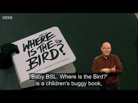 Baby BSL