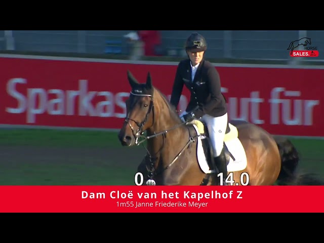 Implanted Embryo Conthargos x Chippendale Z