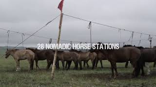 All The Wild Horses - Music by Tengger Cavalry