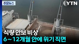 식량 안보 비상..."6∼12개월 안에 위기 직면" / YTN