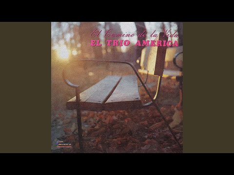 El Camino de la Vida