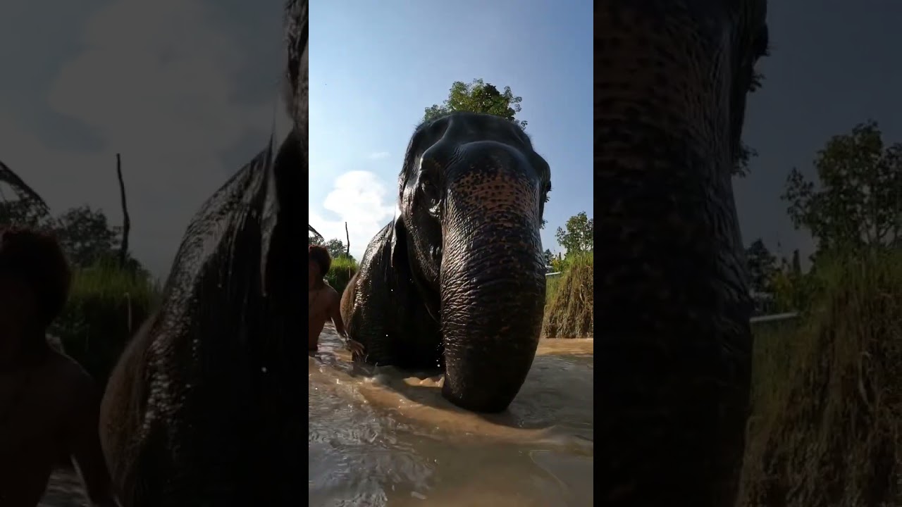 YouTube Short thumbnail