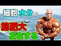 筋肥大に大切な細胞水分を効率良く取り入れる方法【筋トレ】再アップ