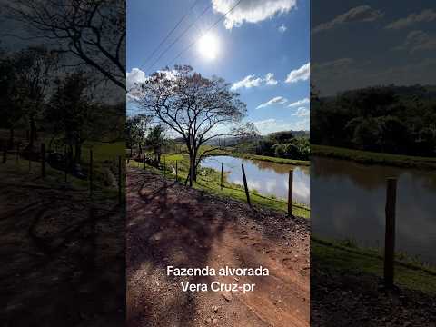 Fazenda alvorada Vera Cruz do Oeste-pr #mtb #natureza