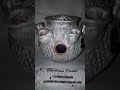 Big Olokun Mystical Pot With Seven Pots