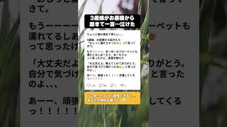 【神対応】3歳娘のお漏らしに怒りを飲み込んだ母の一言が泣ける #子育てあるある #育児